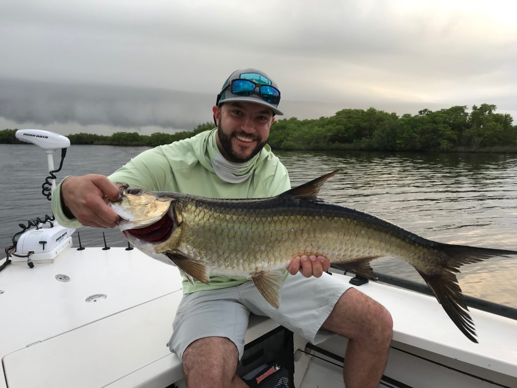 Juvenile Tarpon Fishing Is Hot – Day & Night - Quiet Waters Fishing