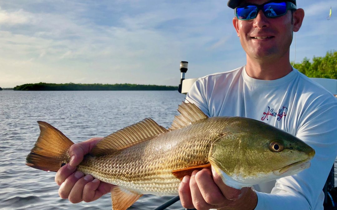 September Fishing in Sarasota is Starting Strong