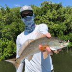 Redfish on the fly