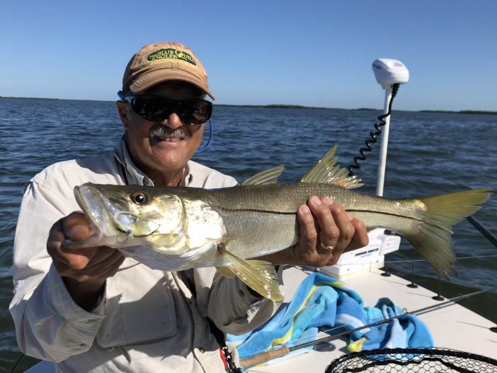 Flats Fishing for Redfish & Snook Remaining Steady Quiet Waters Fishing