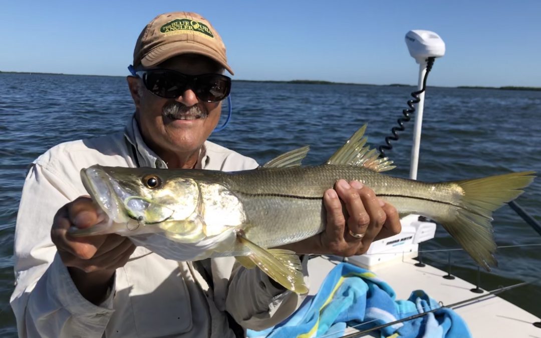 Flats Fishing for Redfish & Snook Remaining Steady