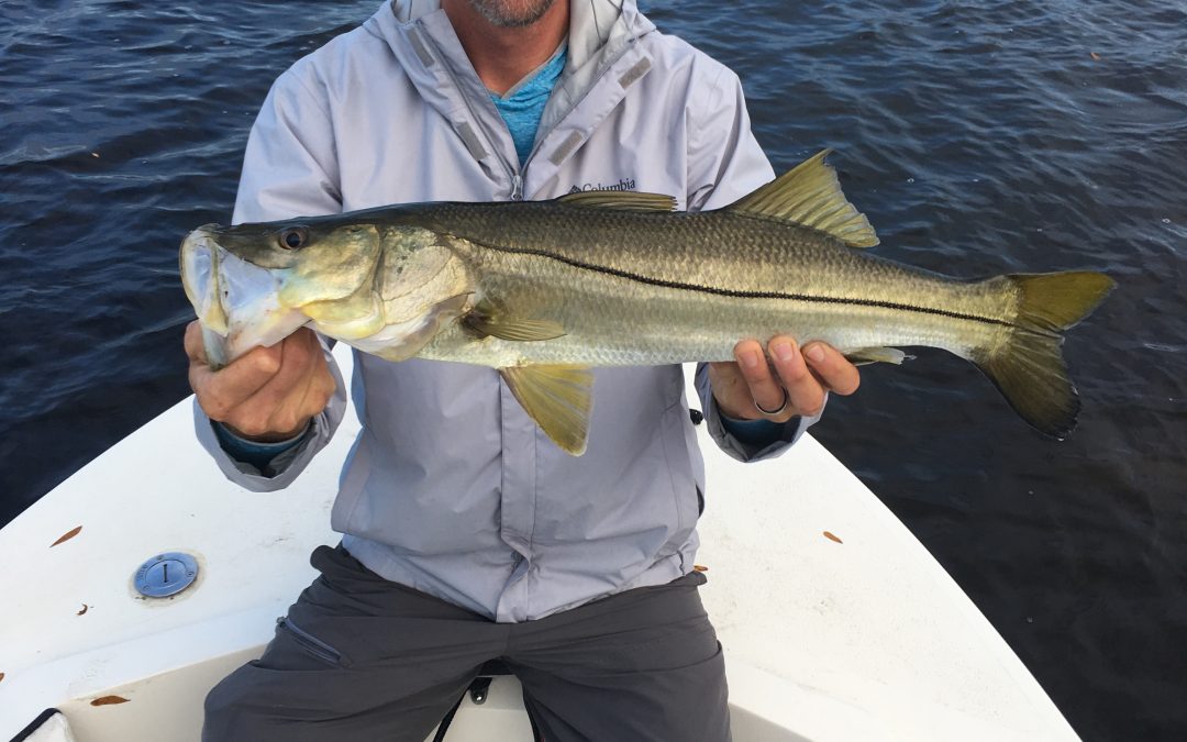 Great Redfish & Snook Fishing as Winter Trends Take Hold