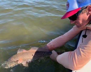 a picture of the author releasing a redfish
