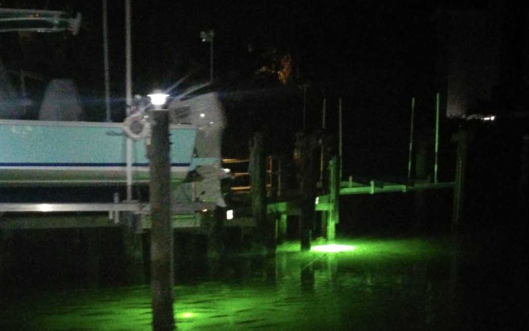 Fly Fishing for Snook in Sarasota – Dock Lights