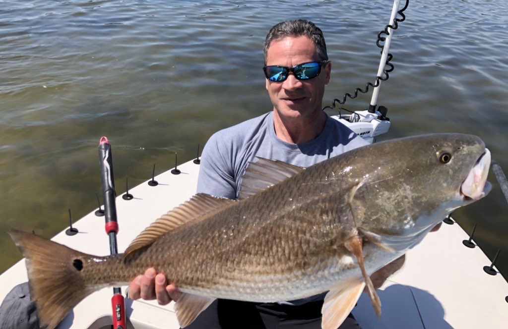 An angler holds a monster redfish caught in very shallow water