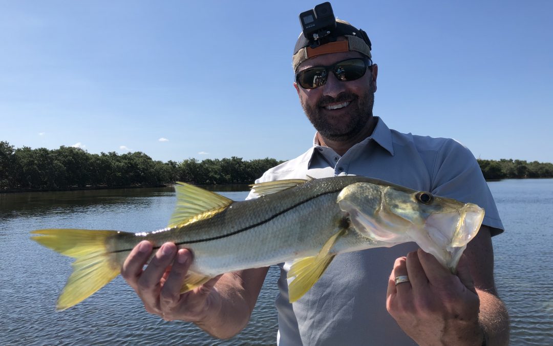 Spring Fishing in Sarasota Producing Good Redfish & Snook Action