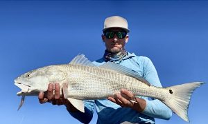 author holds a lightly colored redfish