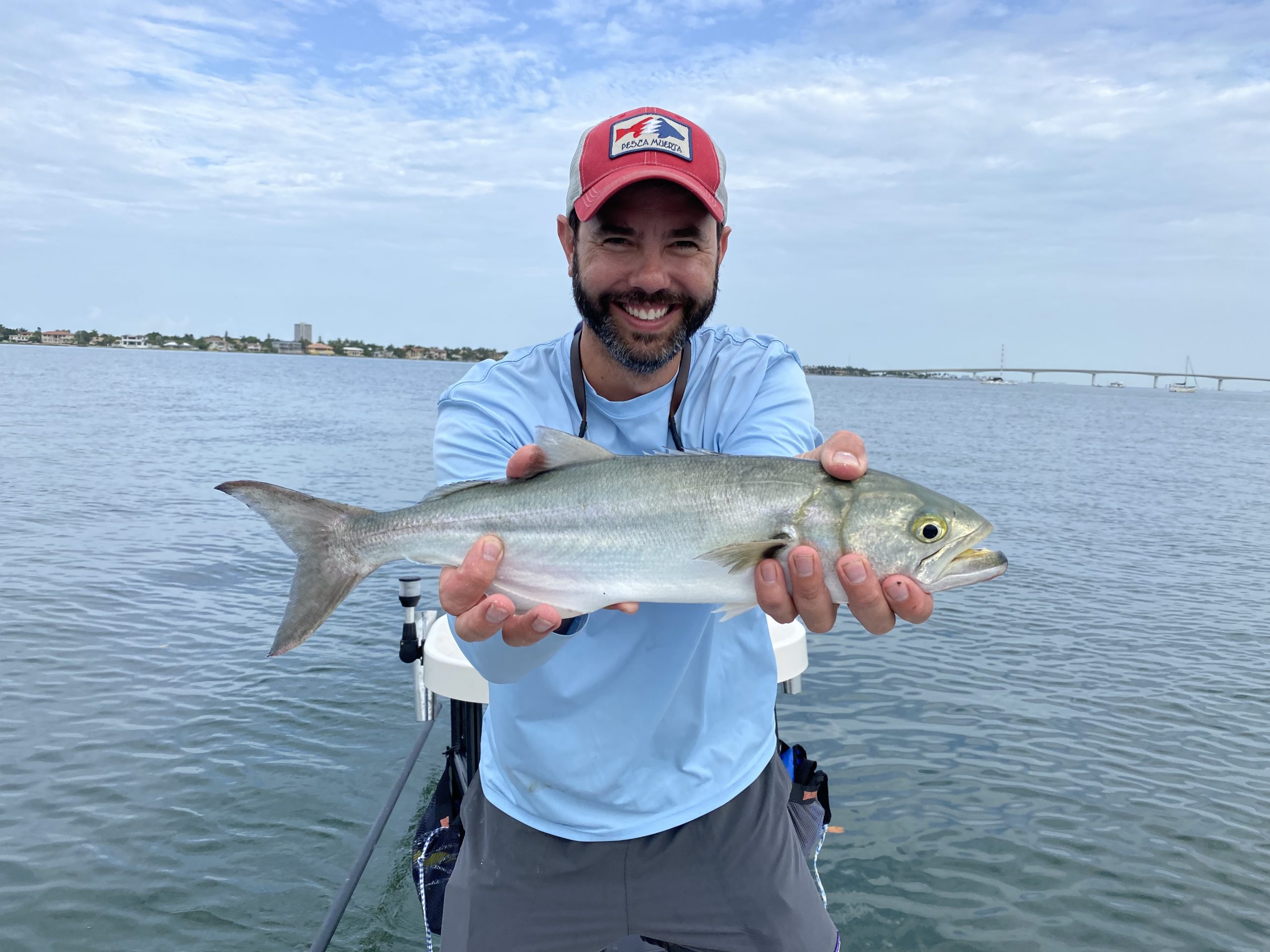 An angler holds out a bluefish for the camera