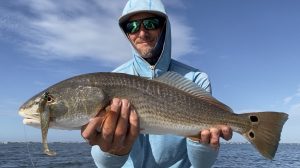 a paddle tail is hanging out of a redfish