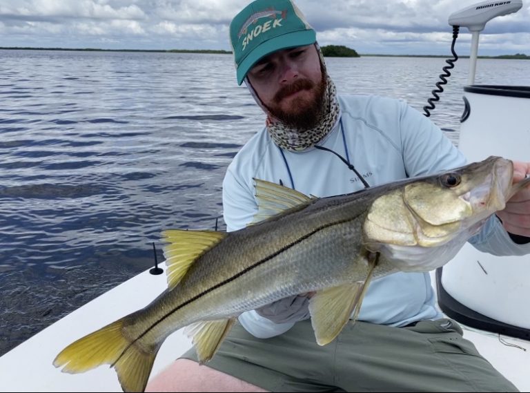 angler holds a snook