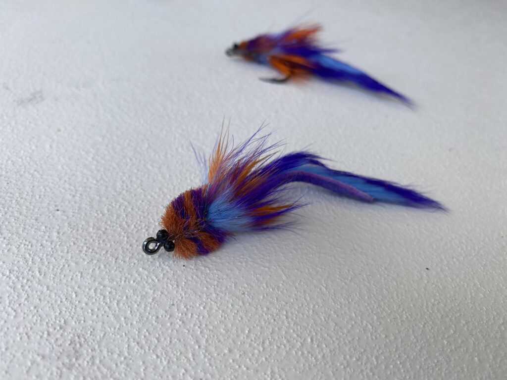 The Best Flies for Fly Fishing in Sarasota - Quiet Waters Fishing