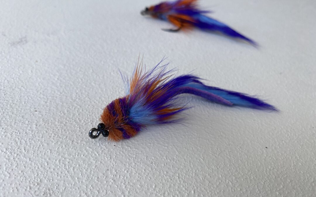 The Best Flies for Fly Fishing in Sarasota