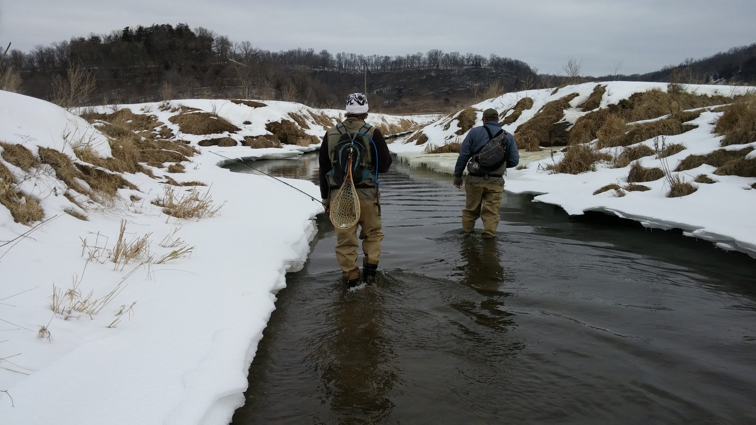 Two anglers wade in the driftless region