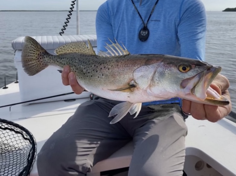 Captain Brian Boehm of Quiet Waters Fishing holds a large seatrout known as a gator trout