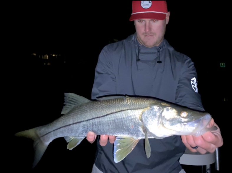 Fishing Dock Lights – The Cure For Cold Fronts