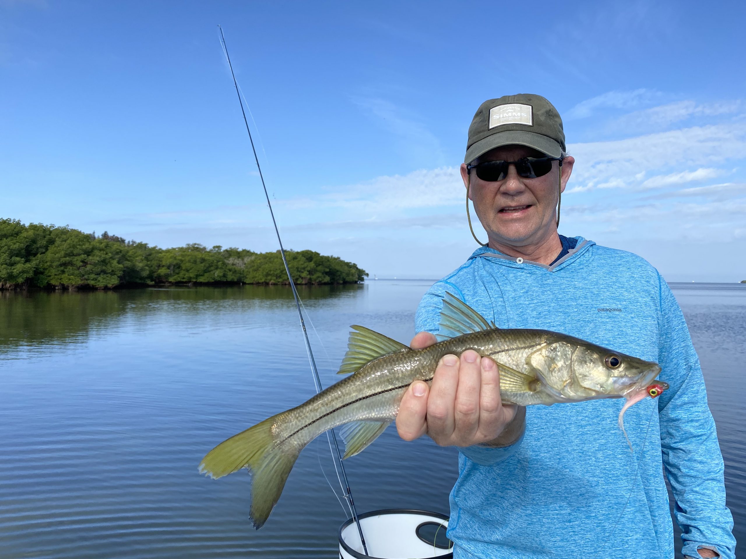An angler holds a snook caught while fly fishing in lower tampa bay