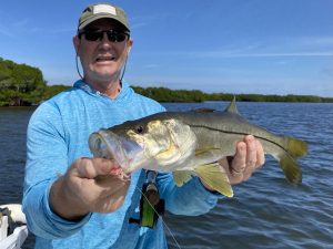 A fly anlger holds a healthy snook caught while fly fishing near sarasota, fl