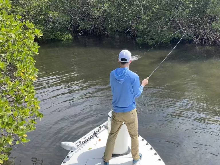 An angler fights a snook in the back country