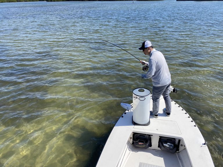 An angler brings a snook to the boat