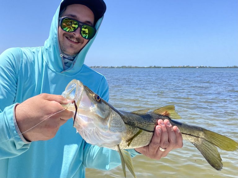 An angler holds out a snook that he caught while sight fishing in lower tampa bay