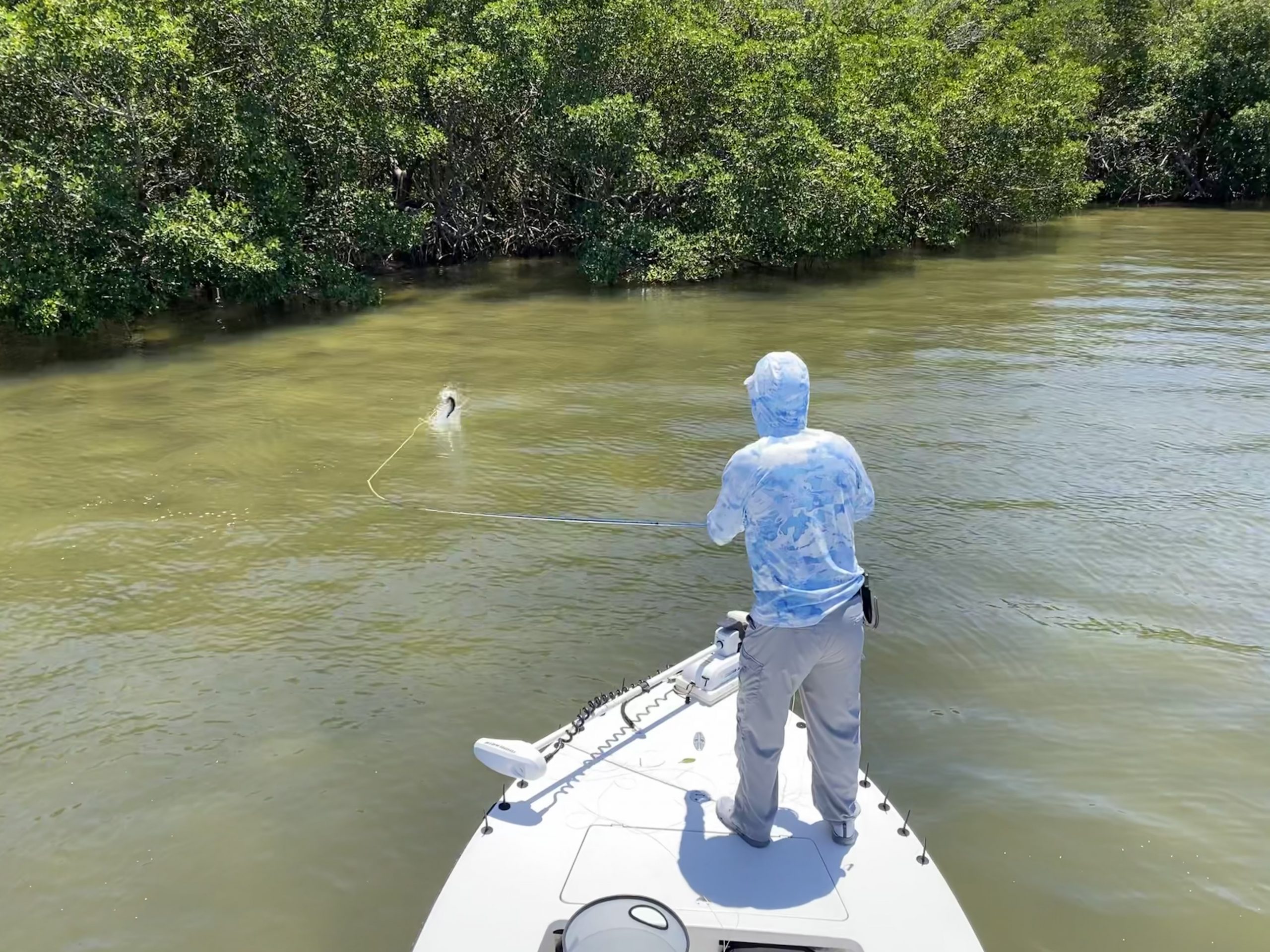 An angler fights a snook on fly