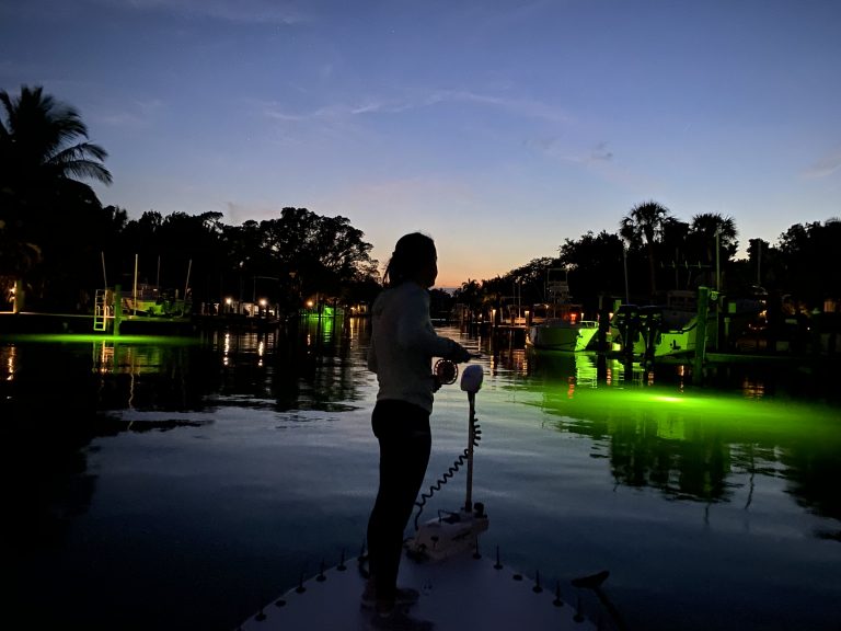 An angler fishes a dock lights