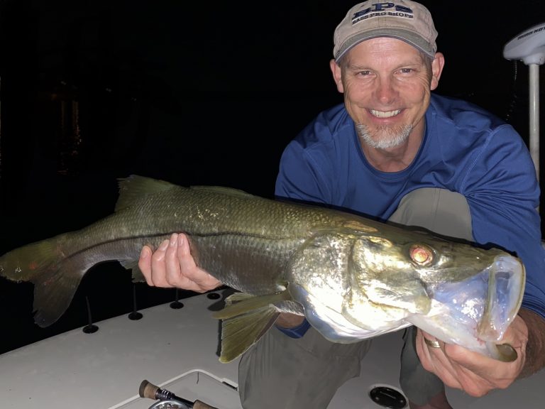 Angler holds a big snook he caught while fly fishing