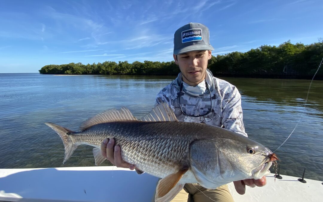 Redfish Have Been Chewing