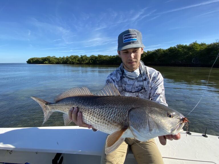 An angler holds a redfish up for the camera