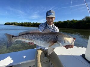An angler holds a bull redfish that was caught in the winter time near tampa bay on a fly fishing charter with captain brian boehm of quiet waters fishing