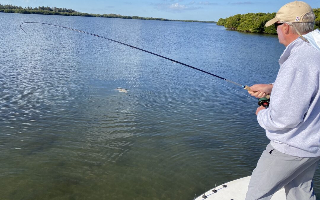 When is the Best Time to Fly Fish for Redfish in this Area?