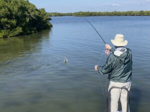 An angler fights a snook with a fly rod