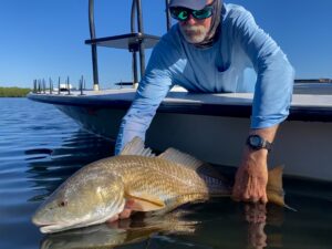 An angler releases a redfish that he sight fished