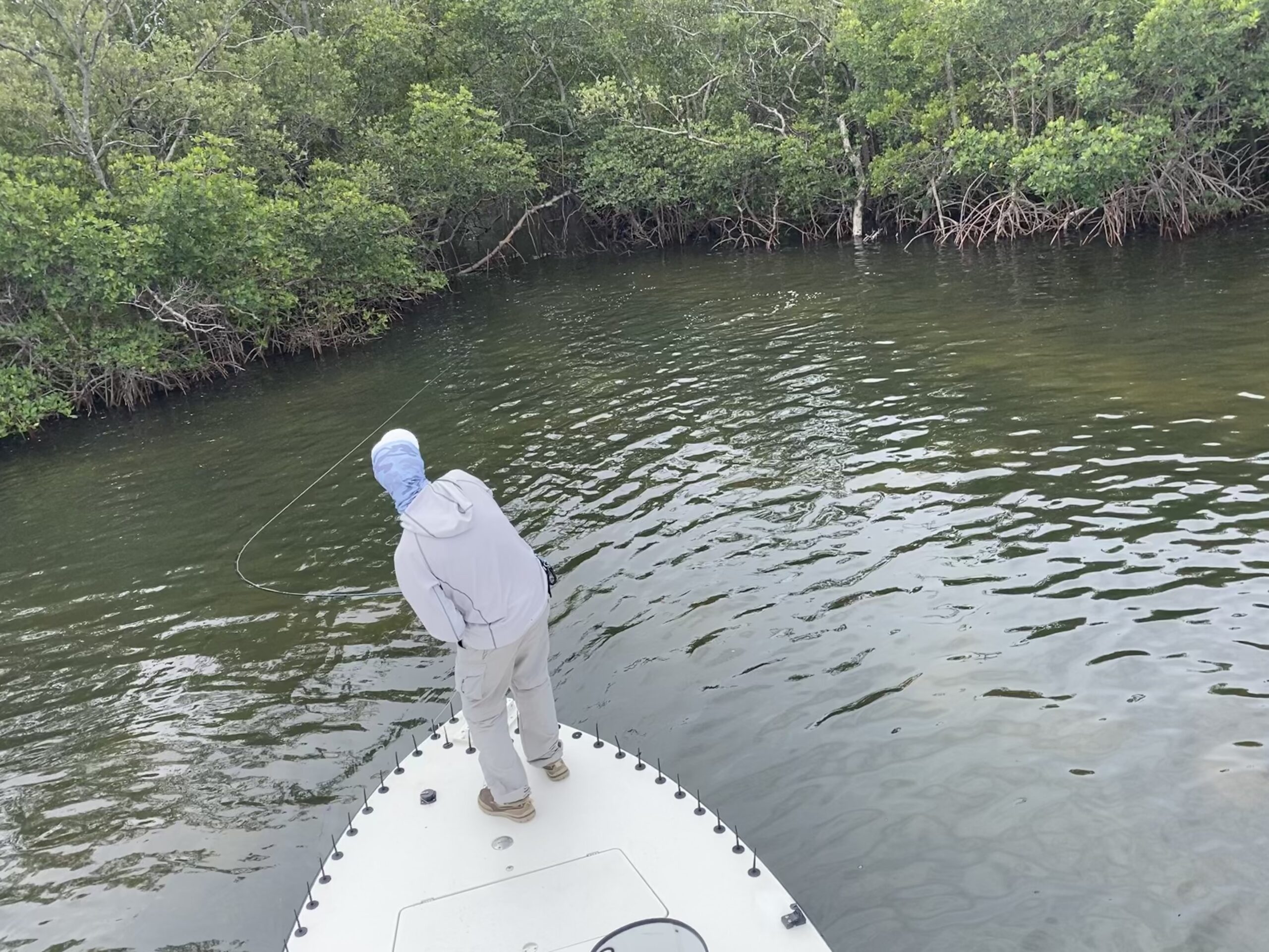 An angler pulls back against a redfish that is trying to take him into the mangroves
