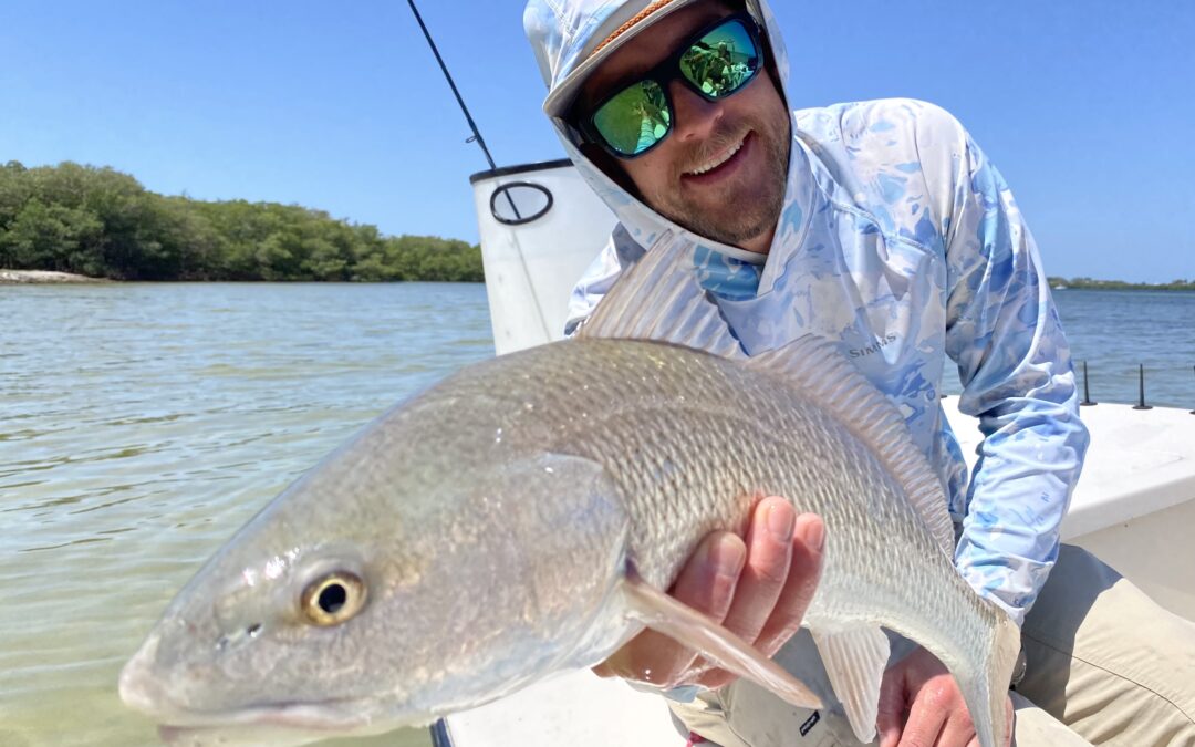 Sarasota Area Shallow Flats and Back Country Fishing Update