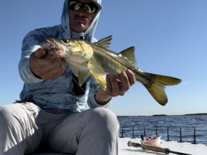 An angler holds up a snook for the camera caught while fly fishing