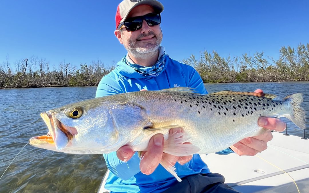 Sarasota Winter Fishing in Full Swing