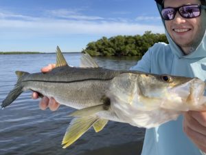 An angler holds up a snook for the camera