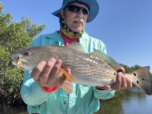 An angler holds up a redfish that was caught while fly fishing in the back country