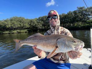 An angler holds up a redfish caught while fly fishing in Sarasota Bat