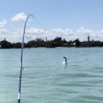 A tarpon jumps as an angler pulls against it with his fishing rod