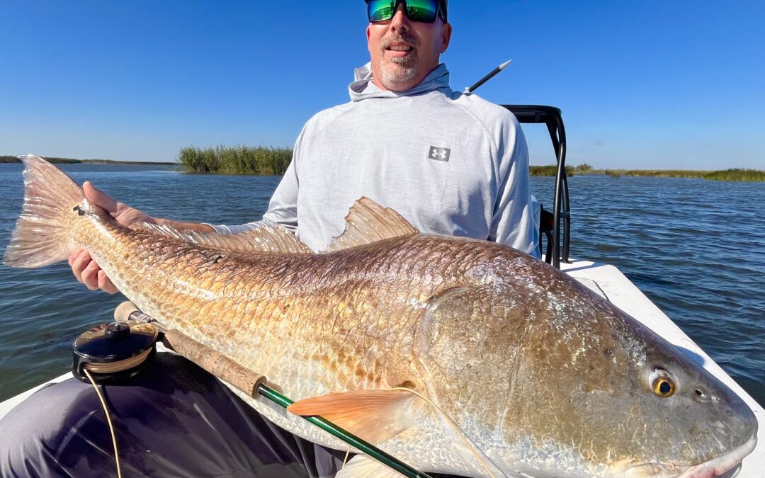 Fly Fishing for Bull Redfish in Louisiana