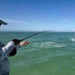 A tarpon jumps at the end of the line while an angler holds on tight to his fly rod