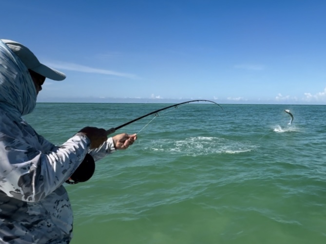Summer Tarpon Fishing & More
