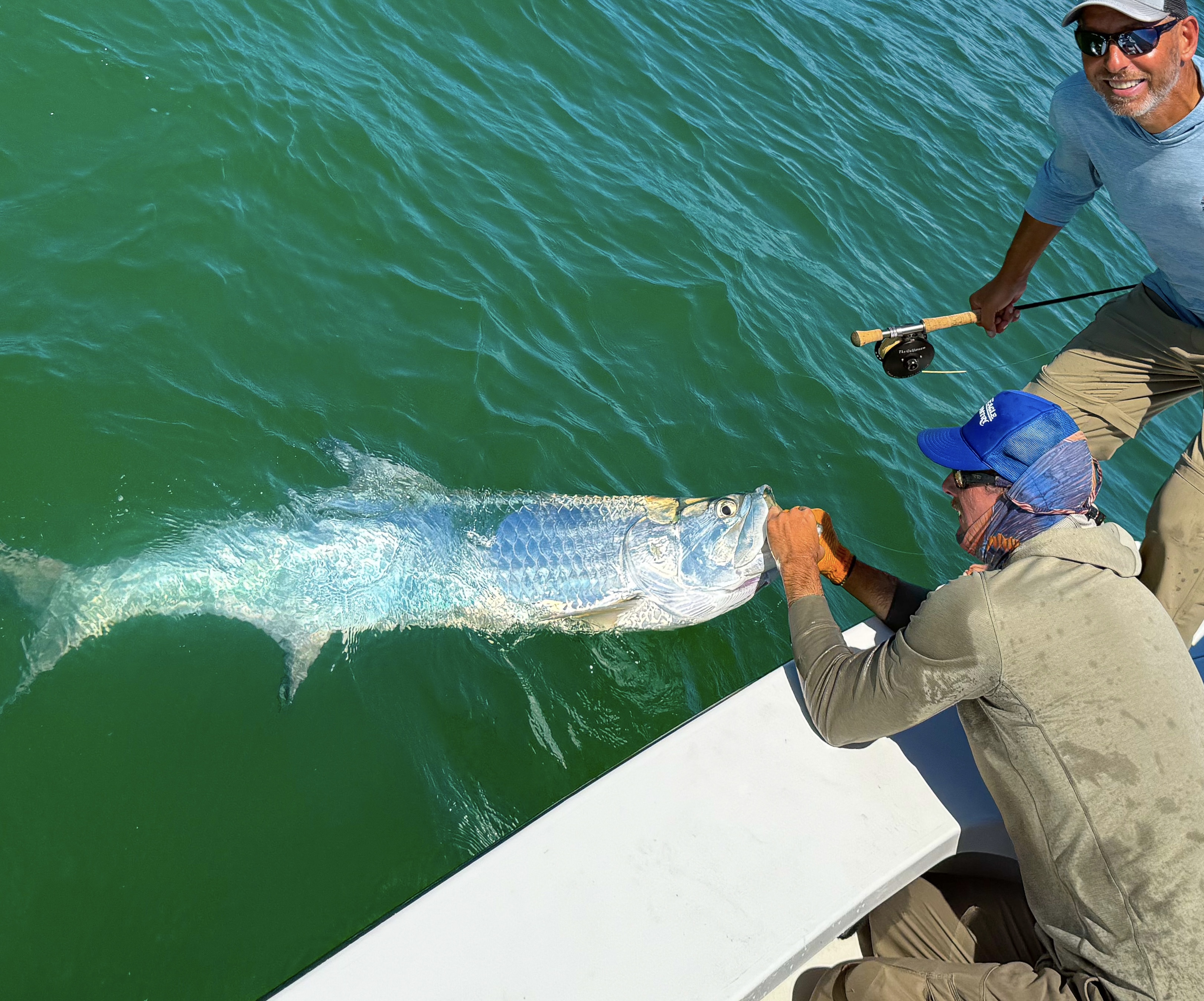 A guide holds an adult tarpon for his client next to the boat
